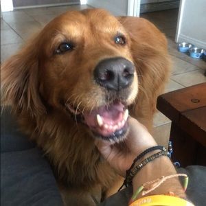 Meet your Posher, Rosemarie